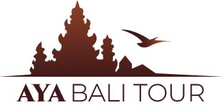 ayabalitour.com